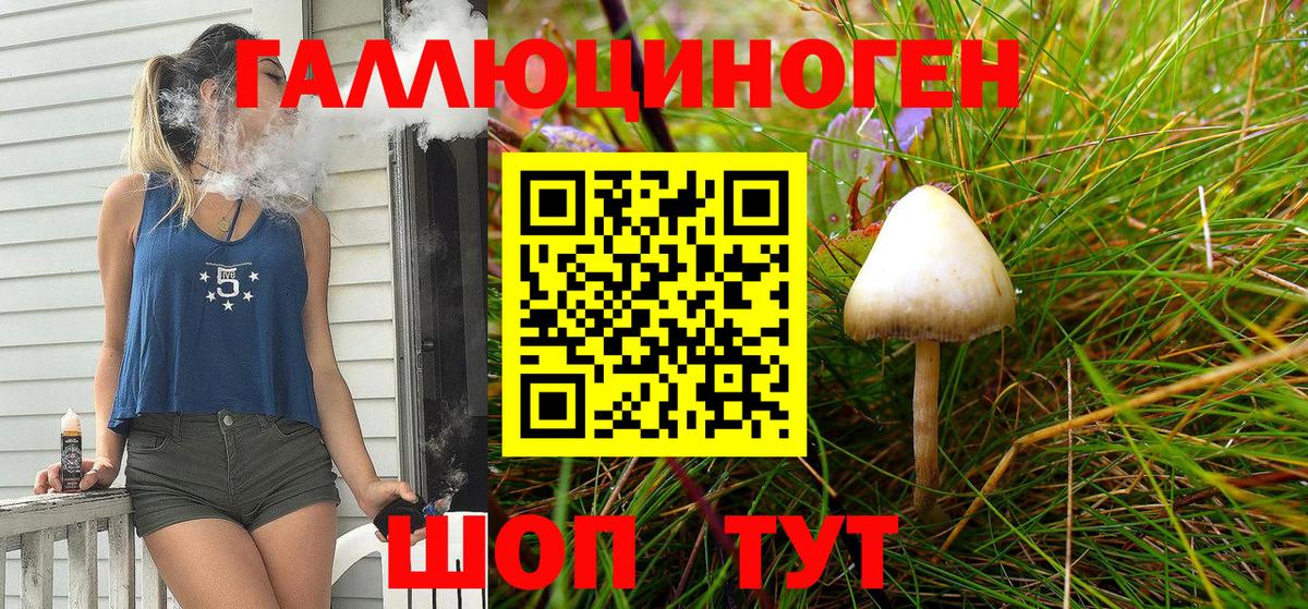 Бугуруслан  Псилоцибиновые грибы Cubensis  Вход с VPN 